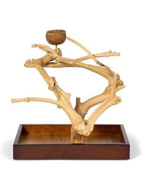 Small Tabletop Playstand for Birds - Coffeewood Java Tree, 15.8” L x 10.6” W